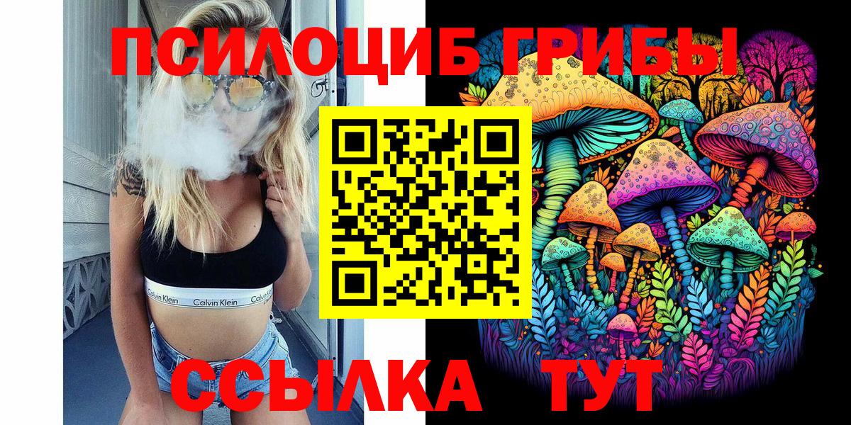 Губкинский  Галлюциногенные грибы мицелий  Вход с VPN 